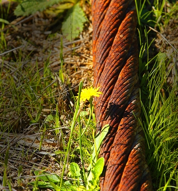 Something RustyPhotography by David Woolcock